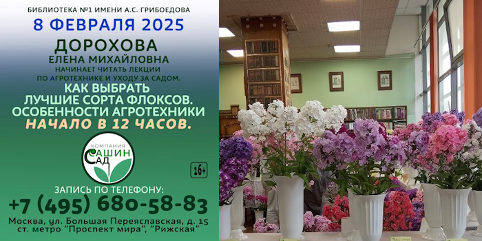 «Как выбрать лучшие сорта флоксов. Особенности агротехники» - 8 февраля в 12.00 в Библиотеке №1 им. А.С. Грибоедова