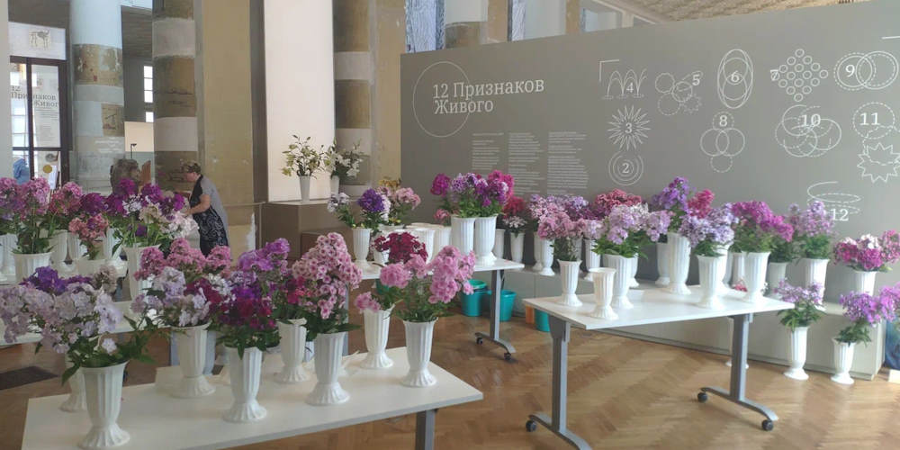 Расписание выставок Клуба Цветоводы Москвы 2026